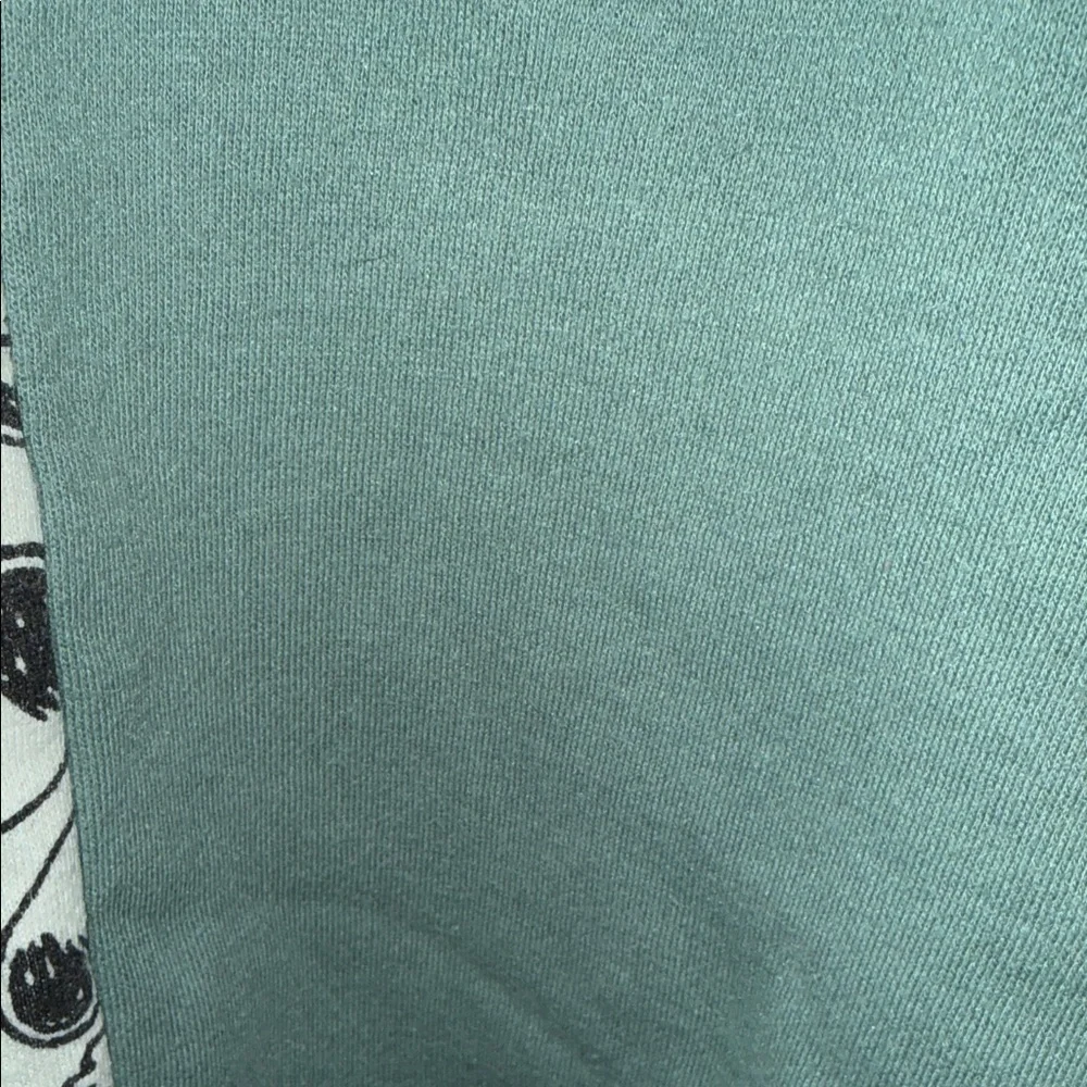 Peanuts Split-Panel Snoopy Crewneck in Forest Green and Cream - Picture 4 of 4